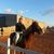 Aymen Bebash's profile image