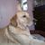 Tina Robinson's profile image