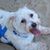 Elaine Nacey Clark's profile image