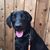 Tammy Pefanis's profile image
