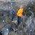 Karrie Cody Jorgenson's profile image