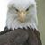 Chad Flint's profile image