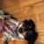 Tammy Tyner's profile image
