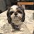 Michelle Siler Butler's profile image