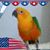 Linda Grevey's profile image