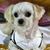 Connie Bulan Concepcion's profile image