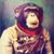 Matt Dallam's profile image