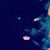 Angie Craig's profile image