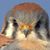 Jayson Hardtke's profile image