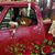 Laurel Hollopeter Aifd's profile image