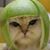 Drew Goodwin's profile image