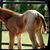 Denise Robinson's profile image