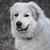 Julie Van Mersbergen's profile image