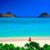 Michelle Miller's profile image