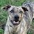 Bryan Gideon's profile image
