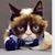 Juan Navarro Jr.'s profile image