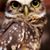 Eliana Reyss's profile image