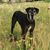 Kristie Mendralla's profile image