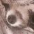 Brigid Borcik's profile image