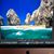Tracy Ann Wolf's profile image