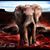 Jeff Blevins's profile image