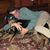 Nathan Gregoire's profile image