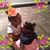 Angel Evans's profile image