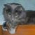 Brenda Koch Crawford's profile image