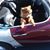 Jackie Phillips Cooper's profile image