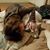 Jessica Riggs's profile image