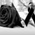 Lorre Olivrs Tamay's profile image