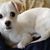 Marja E. ZB's profile image