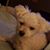 Stacy McClain-Beck's profile image