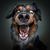 Bg Woller's profile image