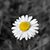Tina Gagnon's profile image