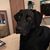 Tracy Jo Roeszler's profile image