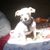 Wendy J JohnsonAtlas's profile image