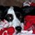Lynne Janderwski's profile image