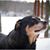 Tabitha Fischer's profile image