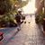 Christine Creed Corya's profile image