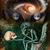 Richard Mazurski's profile image