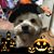 Lanah Converse's profile image