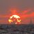David R. Sosebee's profile image