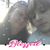 Marlania Crumley's profile image