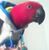 Doris Hernandez-Colon's profile image