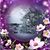 Judy Schultz's profile image