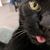Lara Cullinane Smith's profile image