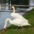 Christopher Mader's profile image