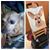 Martha Samaro-Ibe's profile image