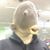 Paul Howard's profile image